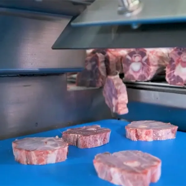 Meat & Bone Bandsaws