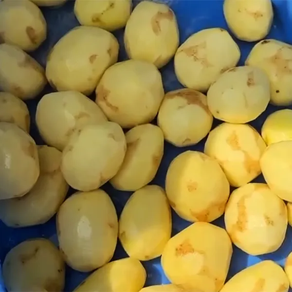 Peeling Machines
