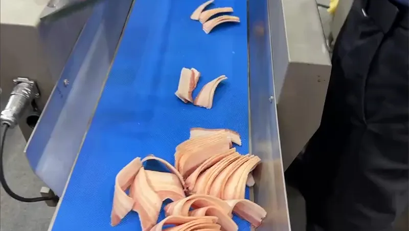Frozen Meat Slicer, DRB-21KC