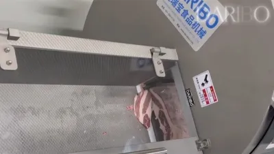 Frozen Meat Slicer, DRB-25K