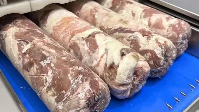 Frozen Meat Slicer, DRB-SPK4