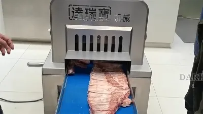 2D Frozen Meat Dicer, DRB-QK300L