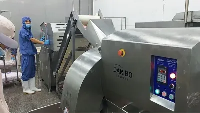 3D Frozen Meat Dicer, DRB-D450
