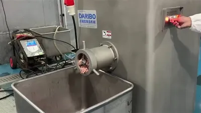 Frozen Meat Mincer, DRB-JR160