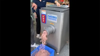 Fresh & Frozen Meat Mincer, DRB-JR120X