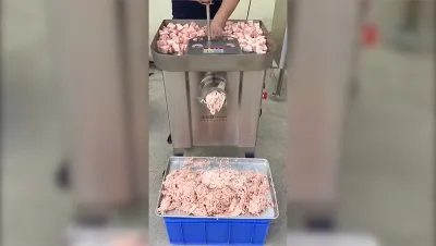 Fresh Meat Mincer, DRB-JR32V