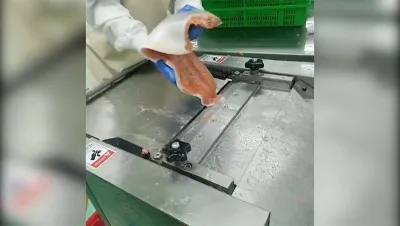 Automatic Fish Skinning Machine, DRB-Y400