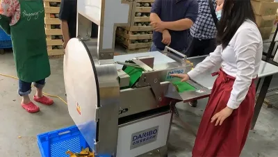 Leaf Vegetable Cutter, DRB-306
