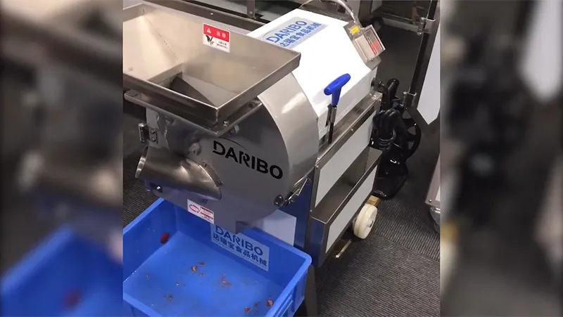 Root Vegetable Cutter, DRB-312