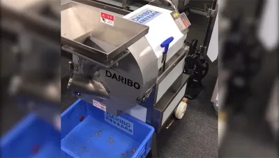 Root Vegetable Cutter, DRB-312