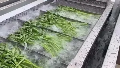 Vegetable Bubble Washer (Conveyor Type), DRB-QX3000