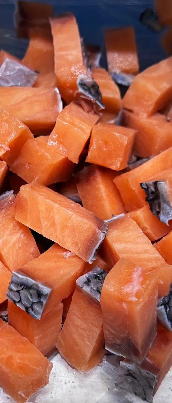 2D Frozen Meat Dicer (for Boneless Meat Only)