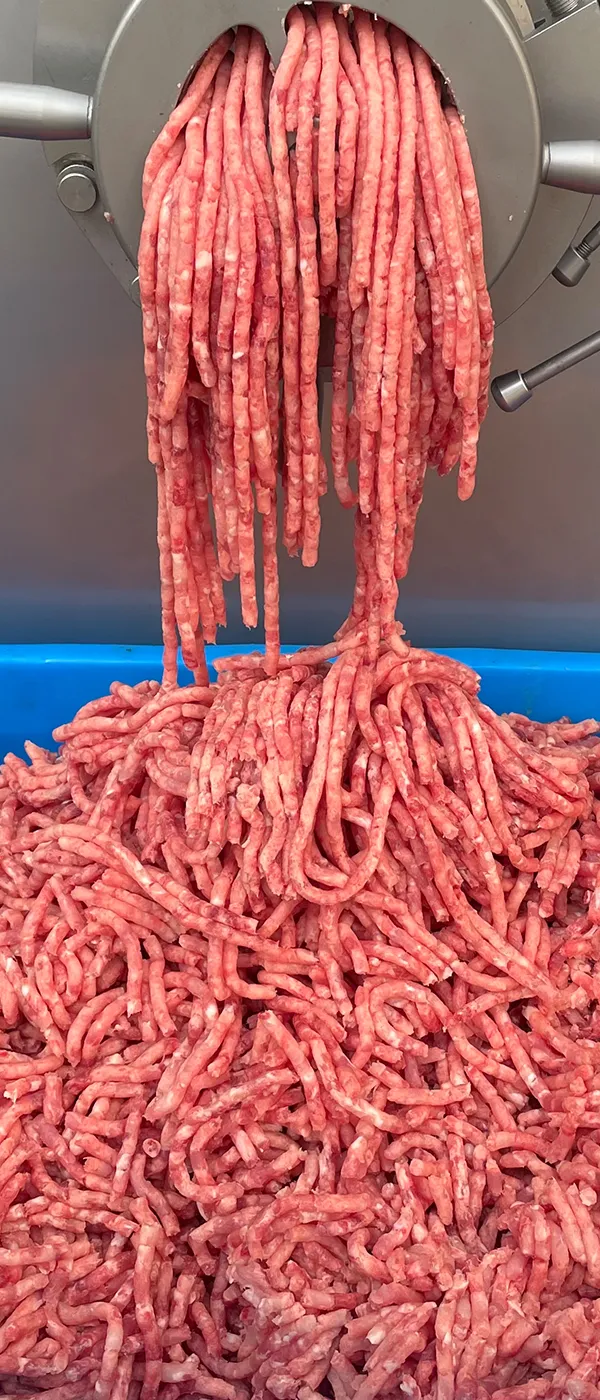 Frozen Meat Mincer