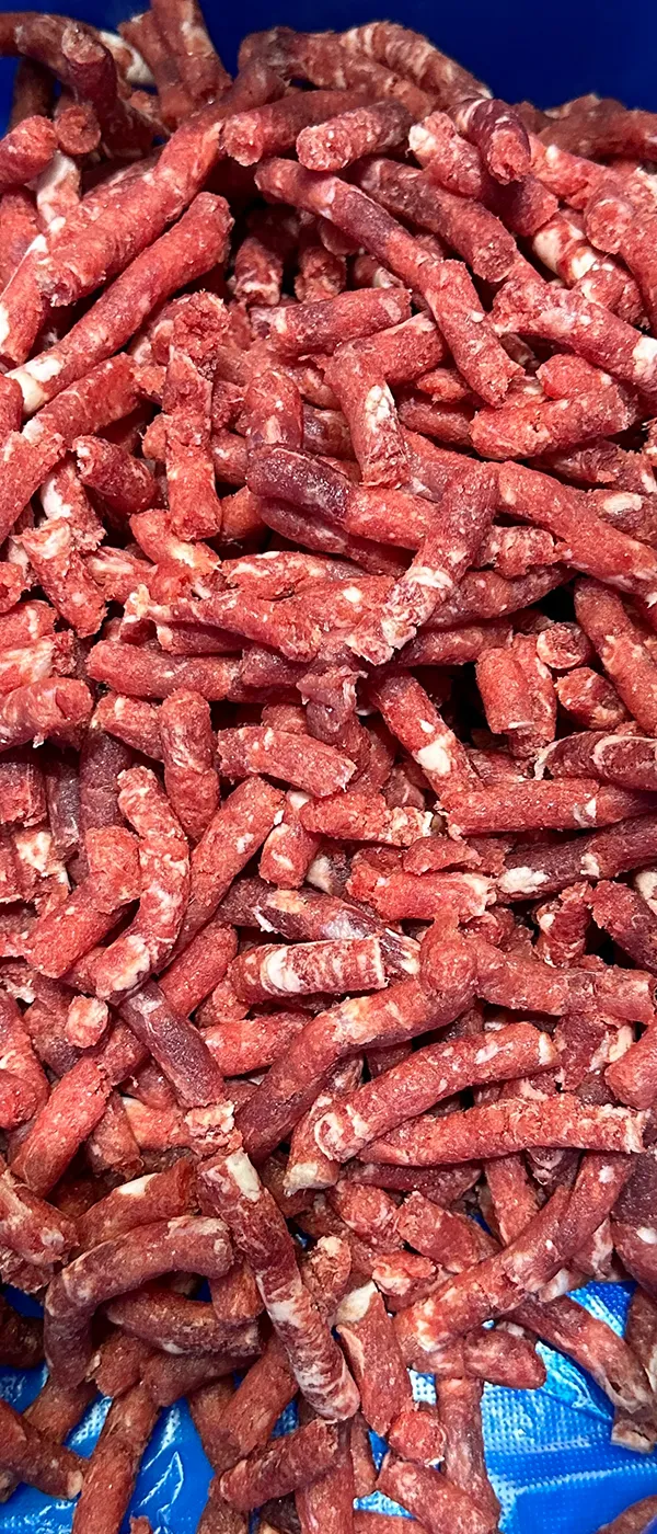 Fresh & Frozen Meat Mincer