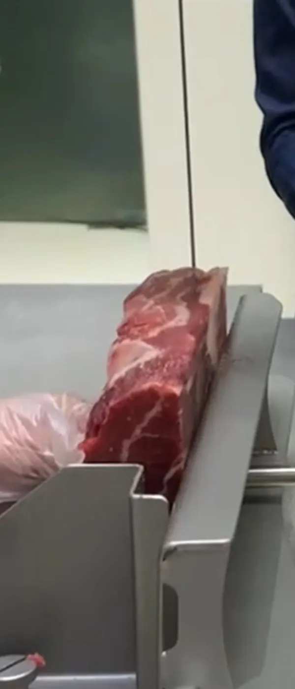Meat Bandsaw (European Standard)