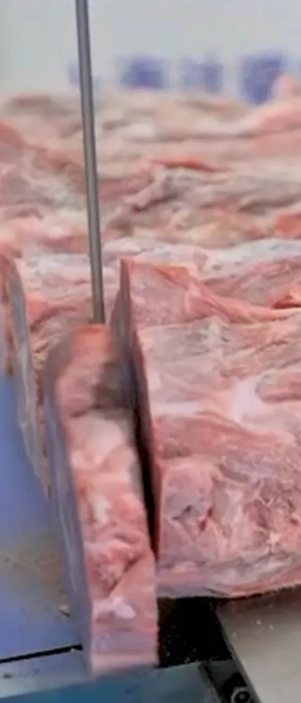 Automatic Bone Saw