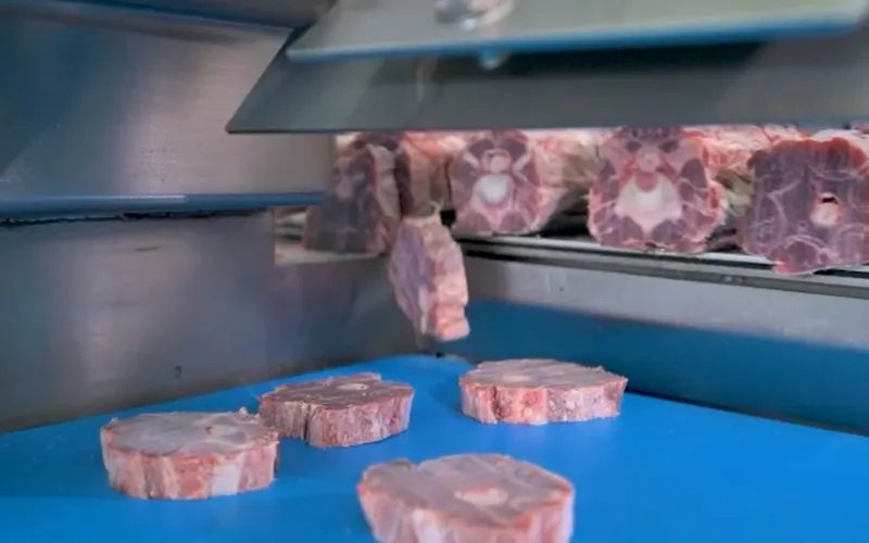 Meat & Bone Bandsaws
