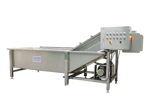 Vegetable Bubble Washer (Conveyor Type)