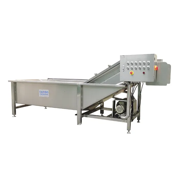 Vegetable Bubble Washer (Conveyor Type)