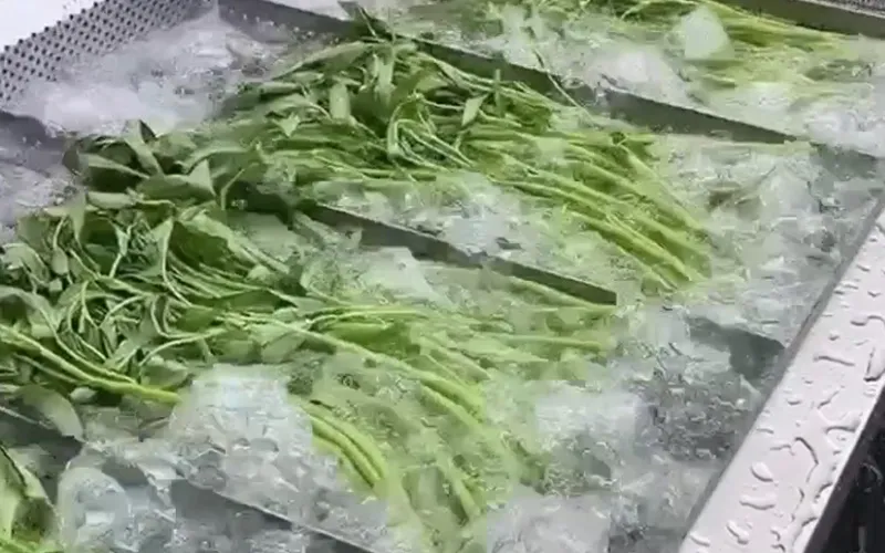 Fruit & Vegetable Washing Machines