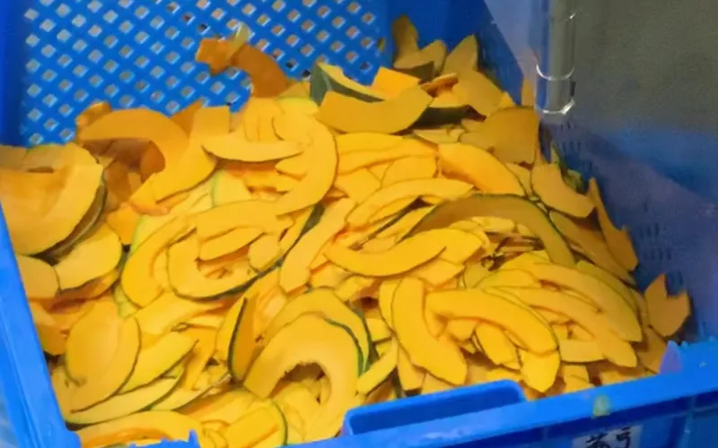Fruit & Vegetable Processing Equipment