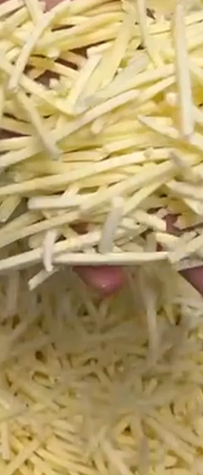Cheese Strip Cutter